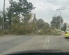Дърво падна до автогарата, движението по важен булевард е затруднено